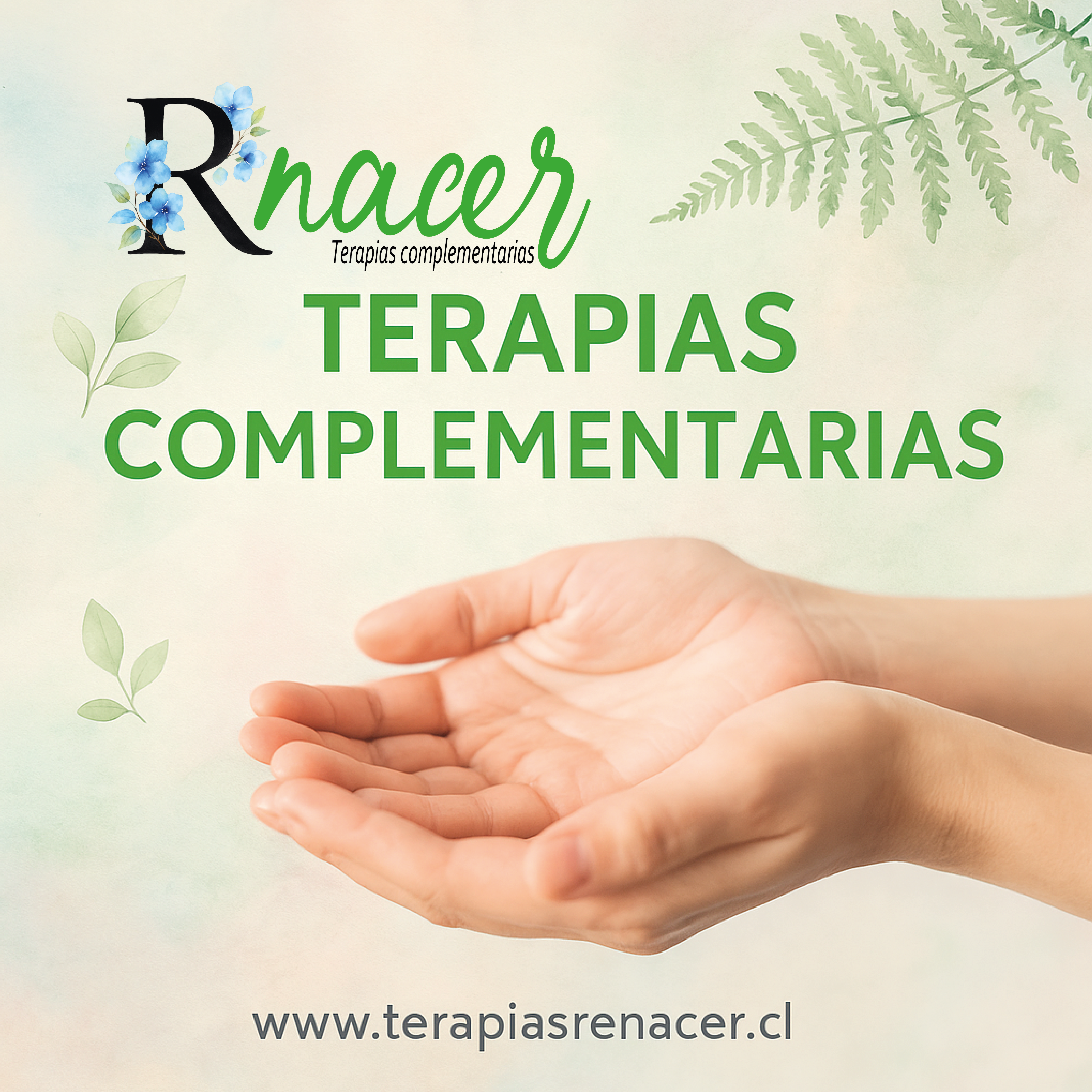 Interior del Centro de Terapias Renacer